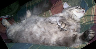 Sound Sleeper